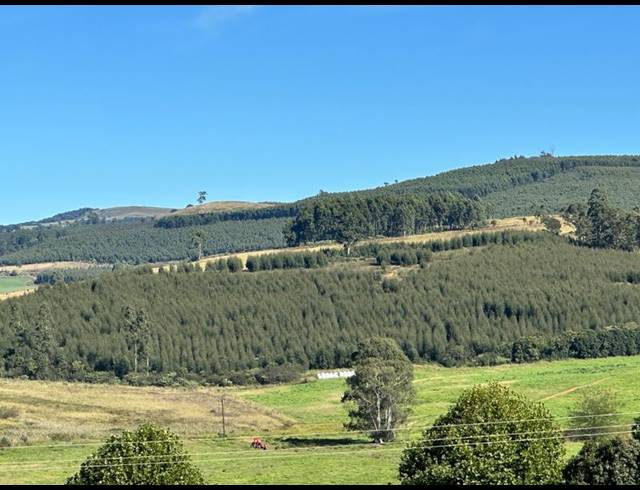 LAND FOR SALE IN DARGLE